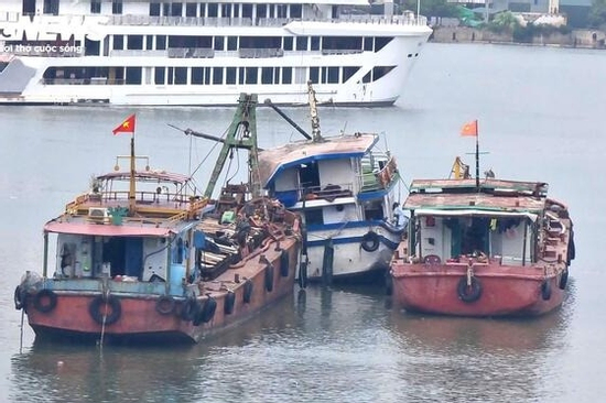 Vụ lật tàu ở Hạ Long: Yêu cầu doanh nghiệp sớm bồi thường bảo hiểm cho nạn nhân