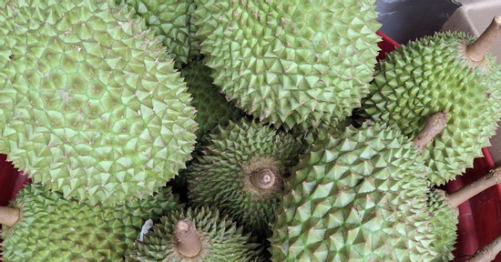 Sầu riêng lại ồ ạt xuất sang Trung Quốc nhờ cách làm mới, người trồng có lãi