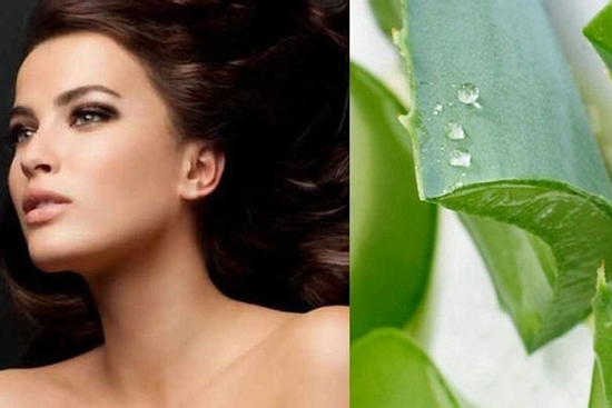 Ủ tóc bằng nha đam có tác dụng gì?