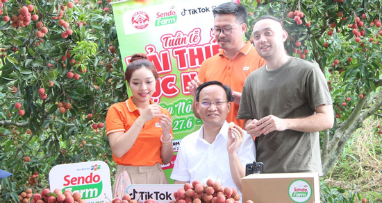 Phó Chủ tịch tỉnh livestream bán vải thiều: Tôi không có kỹ năng bán hàng online