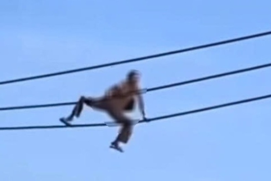 Người phụ nữ trèo lên cột điện cao hơn 10m, rơi xuống đất tử vong