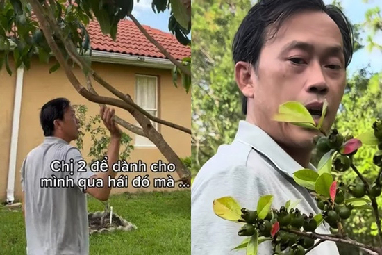 Cơ ngơi hoành tráng của Hoài Linh tại Mỹ