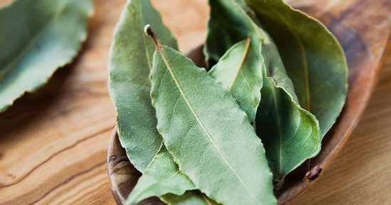 Loại lá ở Việt Nam nhiều người cho nhau miễn phí, ra nước ngoài giá 2 triệu đồng/kg