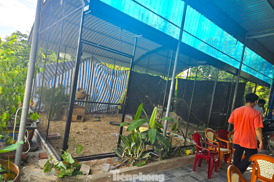 Cận cảnh nơi nuôi gà lôi trắng của anh nông dân bị tuyên 6 năm tù