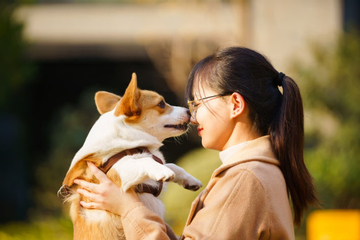 Nhà ngoại cảm 'dỏm' vớ bẫm với dịch vụ giao tiếp với linh hồn thú cưng