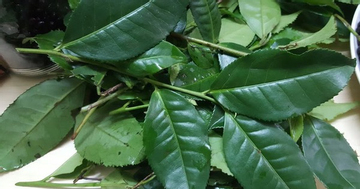 Ra chợ thấy 6 thực phẩm này nên mua ngay, đây đều là siêu thực phẩm thải độc gan cực tốt, làm nhiều món ngon mà ít người biết