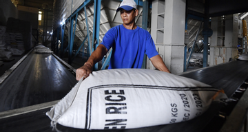 Xuất khẩu gạo thứ 2 thế giới, Việt Nam tung thêm mặt hàng siêu đặc biệt