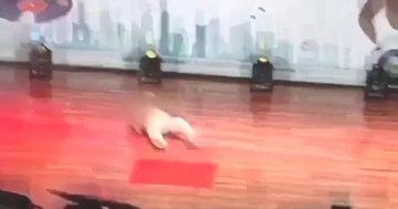 Đang hát trên sân khấu, cụ ông 83 tuổi bất ngờ ngã quỵ, tử vong