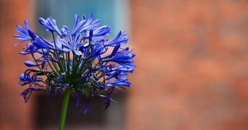 4 khung giờ Âm lịch sinh ra những đứa trẻ hiếu thảo, mang phúc khí trọn đời cho cha mẹ