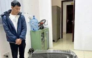 Diễn biến vụ lĩnh 6 năm tù vì nuôi bán 13 con gà lôi trắng sẽ ra sao?