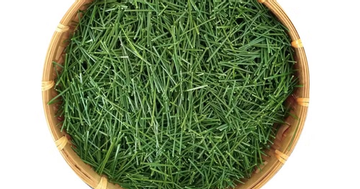 Loại lá dại ở nước ta 