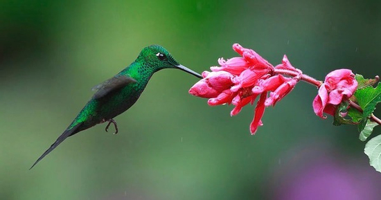 Những ngày sinh Âm lịch mang phước lành: Cuộc đời làm gì cũng may mắn, con cháu ba đời thịnh vượng