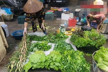 Rau xanh Hà Nội tăng giá gấp đôi vì ảnh hưởng bão số 5
