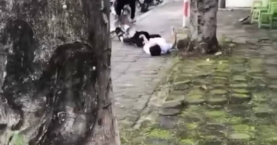 Thiếu niên 16 tuổi bị đánh dã man dẫn đến co giật gần cổng Trường ĐH Hạ Long