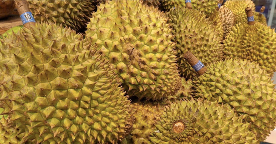Sầu riêng xuất khẩu lần đầu tiên có quy trình kiểm soát an toàn thực phẩm