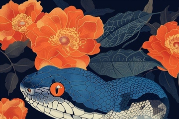 Xếp hạng vận may của các con giáp từ nay đến cuối tháng 7 Âm lịch