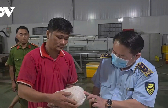 Xử phạt hộ kinh doanh lưu trữ hơn 100 tấn thịt lợn không rõ nguồn gốc ở Gia Lai