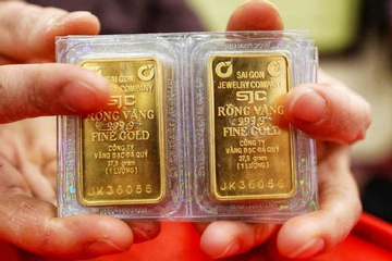 Giá vàng hôm nay 13-9: Tiếp tục đi lên