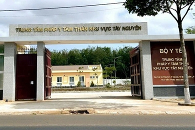 Giám đốc Trung tâm Pháp y tâm thần khu vực Tây Nguyên bị bắt