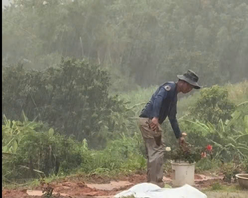 Người chồng biến 'cung đường đau buồn' thành vườn hoa rực rỡ tưởng nhớ vợ