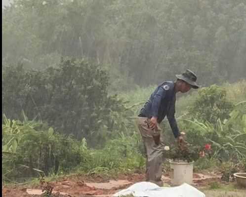 Người chồng biến 'cung đường đau buồn' thành vườn hoa rực rỡ tưởng nhớ vợ