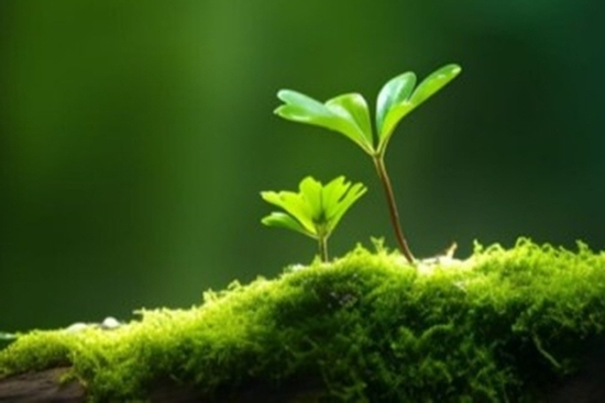 Ngày sinh Âm lịch của người khôn ngoan, hậu vận cực kì thịnh vượng