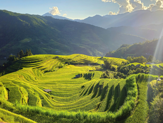 Ngắm những thửa ruộng bậc thang tuyệt đẹp ở Hoàng Su Phì