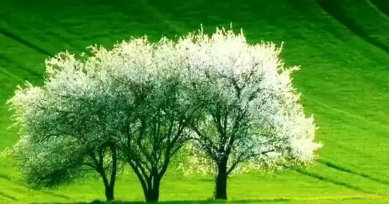 Tháng sinh Âm lịch của người được trời ban khí chất hơn người