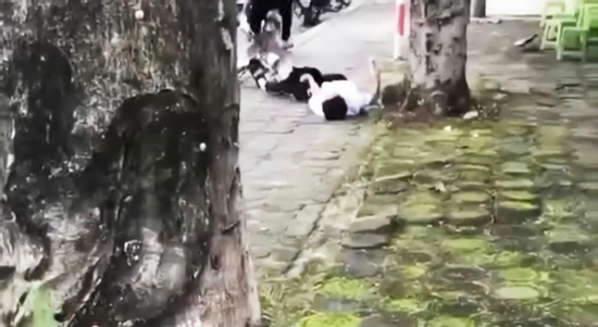 Nam sinh ở Quảng Ninh bị đánh đến co giật: Khởi tố 1 bị can