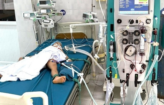 1 bé tử vong, 1 trường hợp nguy kịch do bị ong vò vẽ đốt