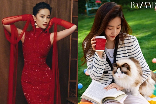 Ở tuổi 38, Lưu Diệc Phi sống thế nào trong biệt thự rộng bằng cả công viên?