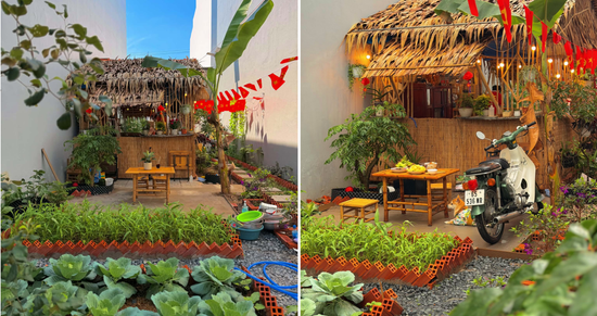 Hai chàng trai thuê đất 10 triệu/năm, dựng chòi lá đẹp lạ giữa lòng phố