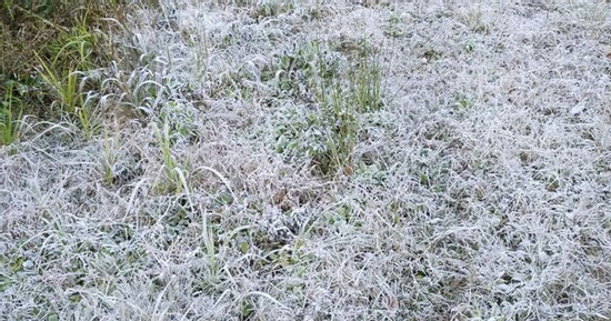 Nhiều địa phương dưới 10 độ C, đề phòng băng giá