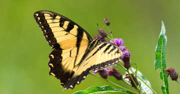 Số cuối ngày sinh Âm lịch hé lộ ai là người 'đổi đời' từ trung vận