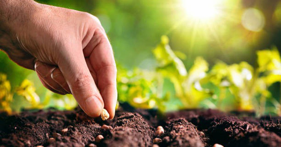 7 quy luật thay đổi cuộc đời: Vì sao 90% mọi người bỏ cuộc ngay trước ngưỡng cửa thành công?