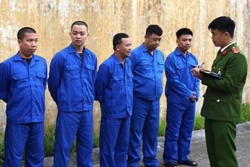 Triệt phá đường dây cá độ 1.200 tỷ đồng do giang hồ Việt Bài ở Ninh Bình cầm đầu