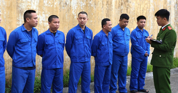 Triệt phá đường dây cá độ 1.200 tỷ đồng do giang hồ Việt Bài ở Ninh Bình cầm đầu