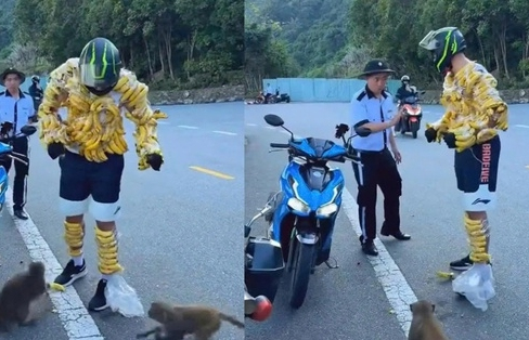 Xôn xao mạng xã hội: Du khách nước ngoài quấn chuối quanh người để “hút” khỉ ở Sơn Trà