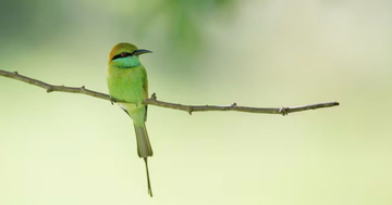 Sinh đúng khung giờ vượng công danh: Sếp trọng dụng, dễ lên chức