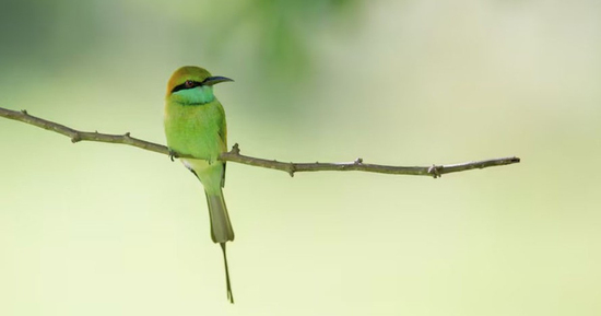 Sinh đúng khung giờ vượng công danh: Sếp trọng dụng, dễ lên chức