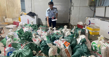 TP.HCM: Phát hiện hộ kinh doanh chứa hơn 18 tấn lòng bò, thịt bò không rõ nguồn gốc