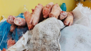 Hải quan bắt giữ hơn 1,5 tấn thực phẩm đông lạnh nhập lậu