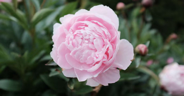 Số cuối ngày sinh Âm lịch nói gì về con đường tài lộc của bạn?