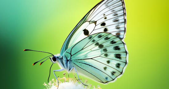 Nếu cuộc sống quá vất vả đừng nản lòng: Sinh vào những ngày Âm lịch này thành công thường đến muộn