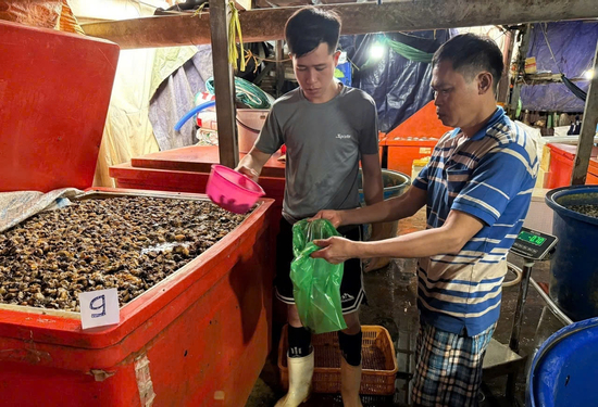 Công an TPHCM công bố hình ảnh bên trong cơ sở ngâm ốc bươu bằng hoá chất