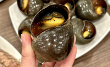 Ăn ốc bươu ngâm 'thủy tinh lỏng' độc hại thế nào?