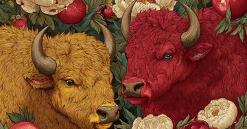 Không làm gì sai vẫn gặp nạn: 3 con giáp dễ vướng thị phi nhất năm 2026