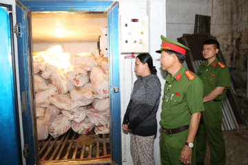 Phát hiện 12 tấn heo nhiễm dịch tả lợn châu Phi chuẩn bị đưa đi tiêu thụ