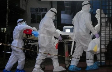 Virus Nipah nhóm A gây tử vong tới 75%, Bộ Y tế ra văn bản hỏa tốc