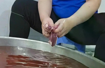 Nhiều trường học ở TPHCM ngưng suất ăn bán trú vì nghi dùng thịt hết hạn